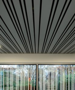 Alternative view of Trần Nhôm B-Shaped