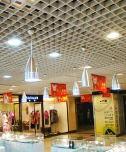 Alternative view of Trần Nhôm Caro (Cell)