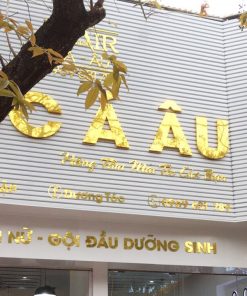 BÁO GIÁ THANH LAM TÔN, MÃ MÀU