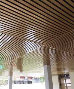 Alternative view of Thanh lam tôn U-75