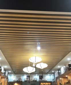 Alternative view of Thanh lam tôn U-40